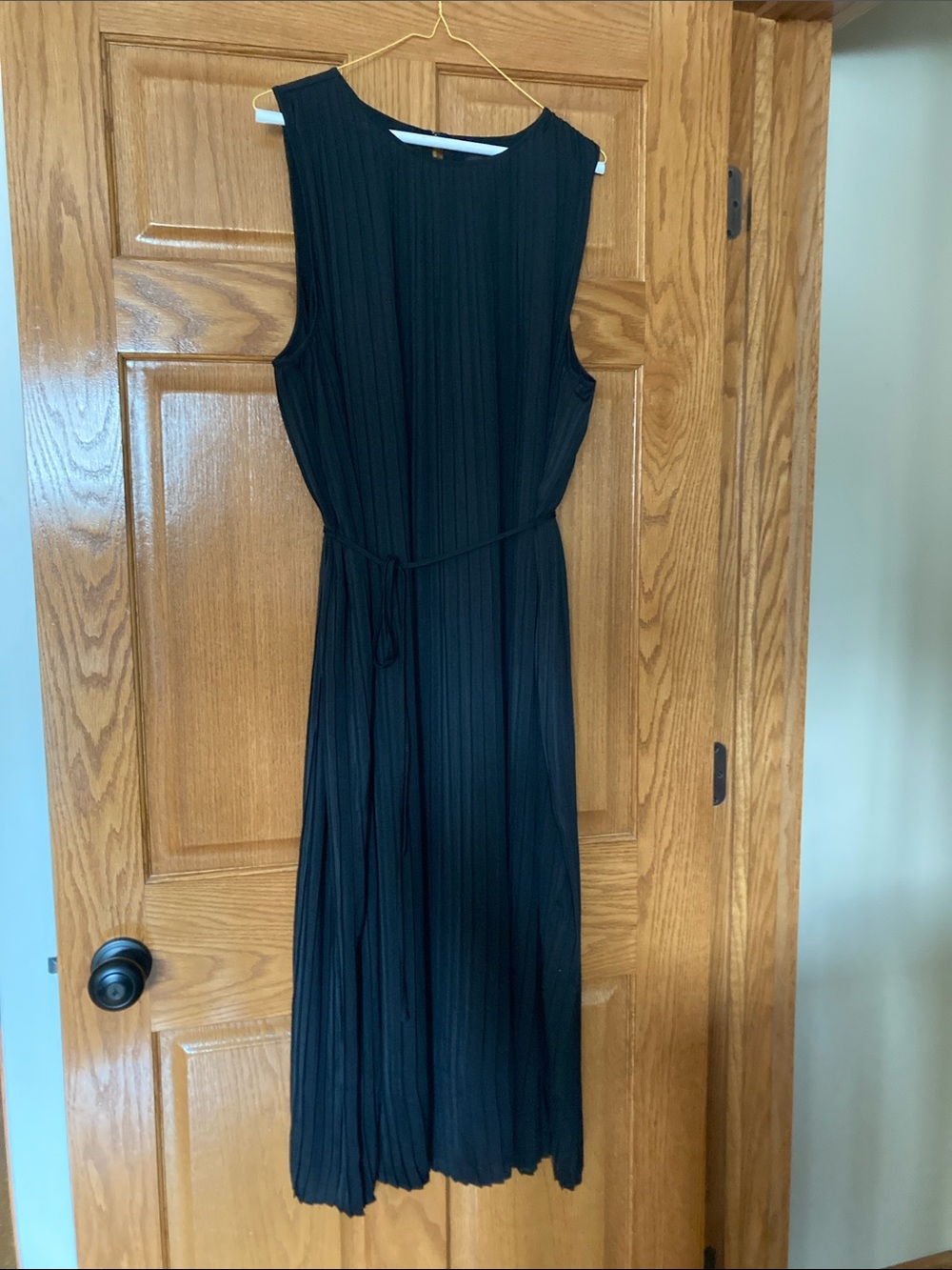 Banana Republic Black Sleeveless Pleated Maxi Dress